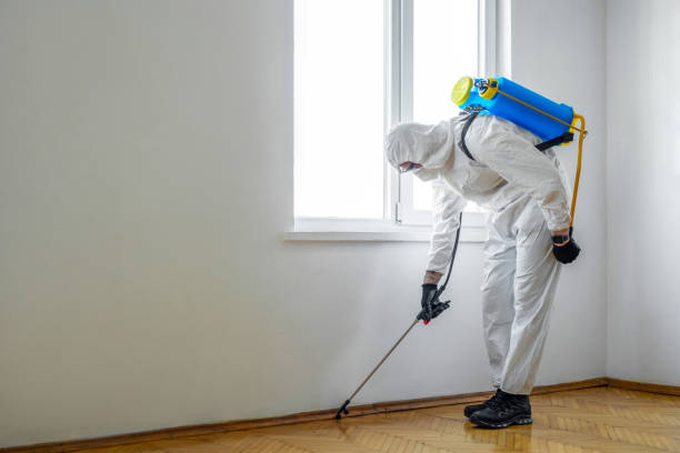 Best Pest Prevention Services  in Zelienople, PA